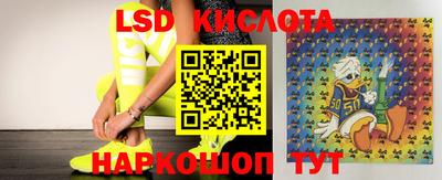 стафф Малоярославец