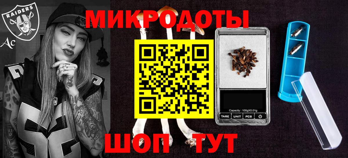 Галлюциногенные грибы Psilocybine cubensis Сыктывкар