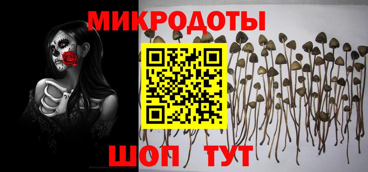 купить наркотики цена  Псилоцибиновые грибы Cubensis  Вход с VPN  Сыктывкар 